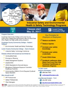 safety flyer 1-17-17